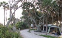 Edisto Beach State Park