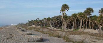 Edisto Beach State Park