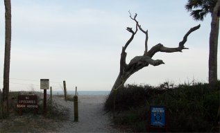 Edisto Beach State Park