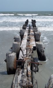 Folly Beach