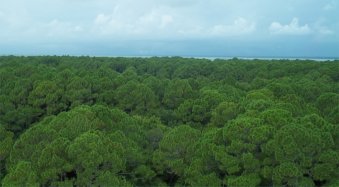 Hunting Island State Park