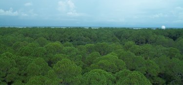 Hunting Island State Park