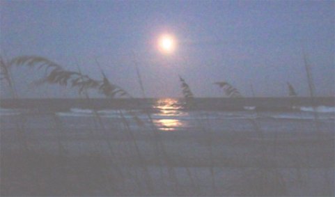 Huntington Beach State Park