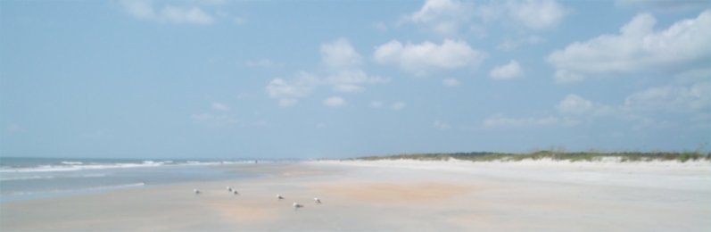 Huntington Beach State Park