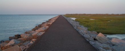Huntington Beach State Park