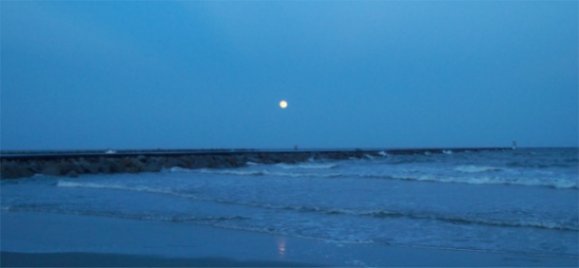 Huntington Beach State Park