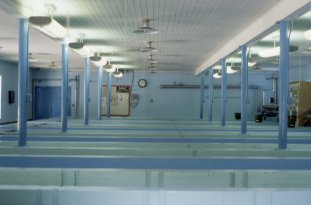 Walhalla Fish Hatchery
