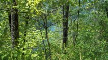 Tugaloo Lake