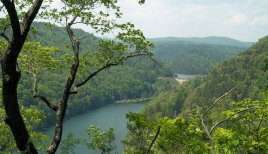 Tugaloo Lake